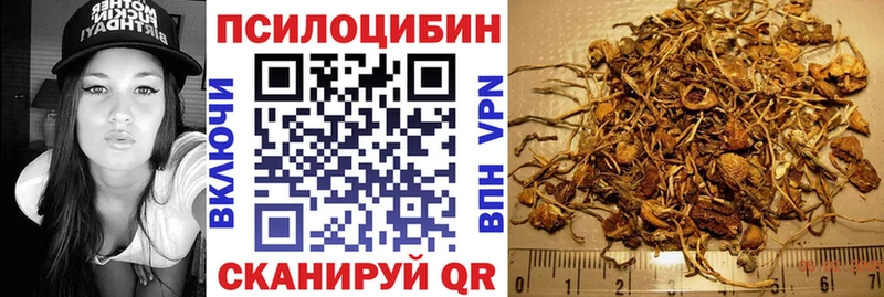 Галлюциногенные грибы мицелий  Костомукша 