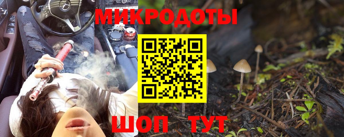  COCAIN Костомукша
